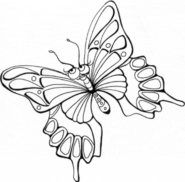 coloriage papillon monarque